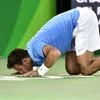Del Potro ends Nadal dream, faces Murray for gold