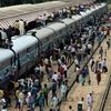 Service tax should be shared with railways: Parliamentary panel