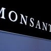Monsanto pulls new GM cotton seed from India in protest