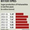 Maharashtra sugar output may fall to 5-year low