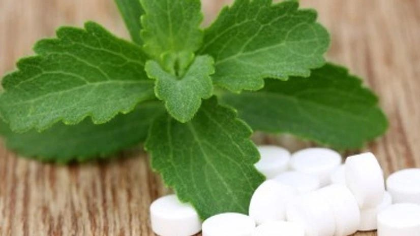 The stevia leaf The stevia leaf