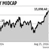 New highs in mid-caps worry analysts