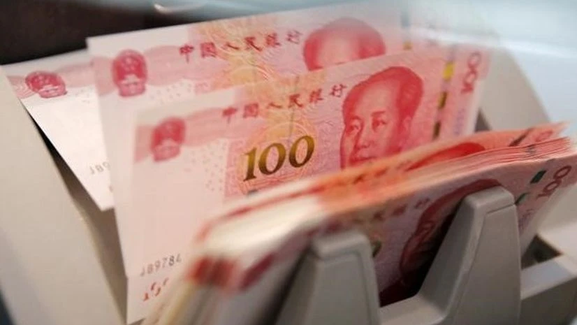 yuan yuan