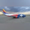Bullet strikes Southwest Airlines plane without injuries at Dallas airport US Southwest Airlines