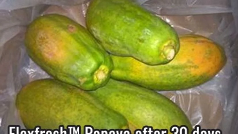 Uflex partners with Dutch firm Perfotec to extend shelf life of papaya Uflex partners with Dutch firm Perfotec to extend shelf life of papaya