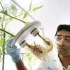 Bayer's researcher in an R&amp;D lab