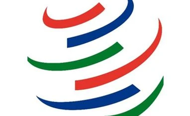 <b>Rahul Khullar & Abhijit Das:</b> Separating myth from reality WTO