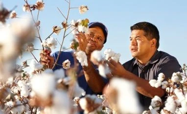 Bayer buys Monsanto for $ 66 billion Image courtesy: Bayer