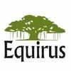 Equirus to launch PMS arm by month-end with Rs 80 cr corpus