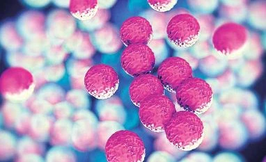 Eat a million bacteria a day for better health Superbug threat real, big pharma firms feel the heat