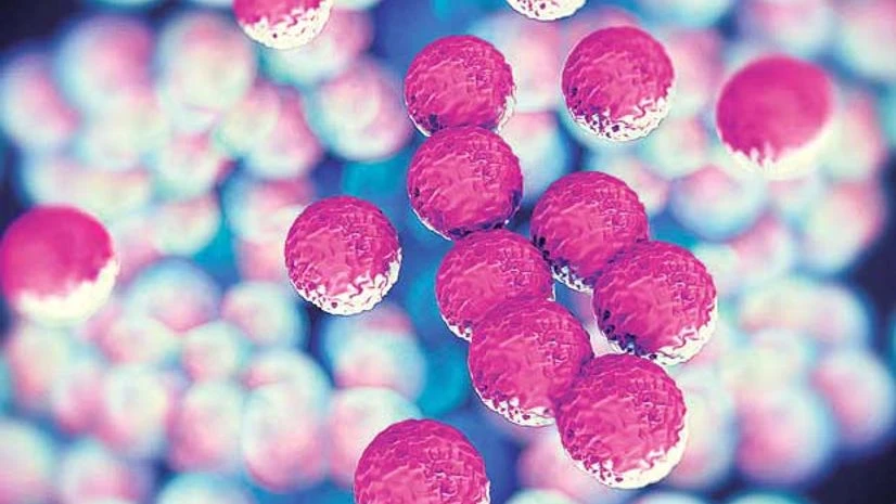 Superbug threat real, big pharma firms feel the heat Superbug threat real, big pharma firms feel the heat