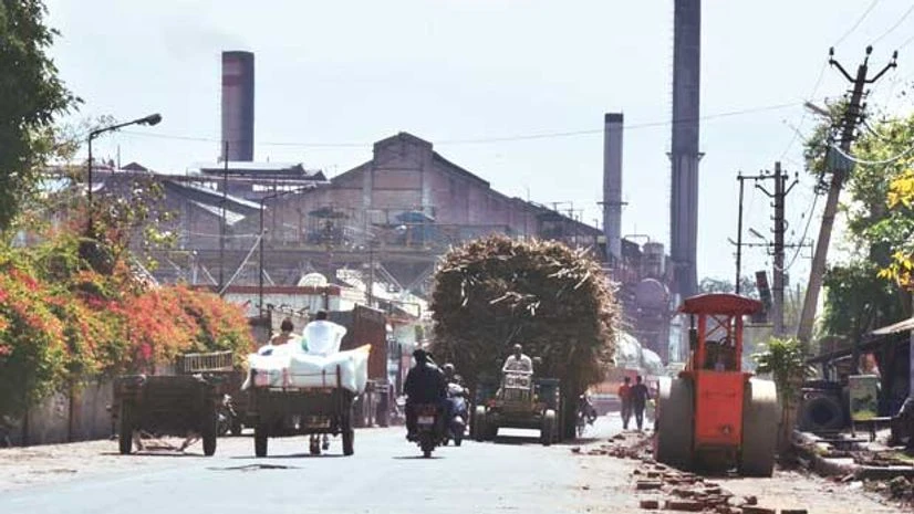 After bitter season, sugar mills hit sweet spot After bitter season, sugar mills hit sweet spot
