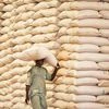 Shree Cement: Compelling but expensive growth story