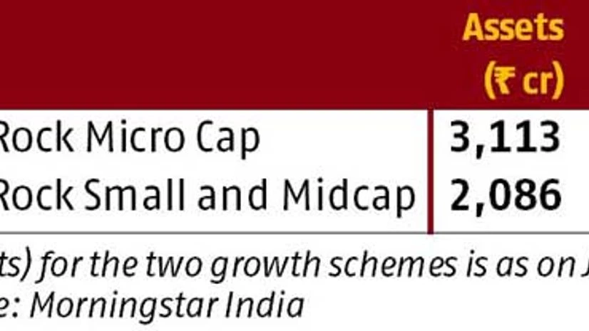 Small in size, big in returns Small in size, big in returns