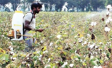 Anti-GM activists demand rejection of GM mustard, submits memorandum to PM GM crops
