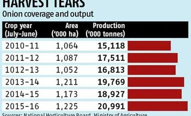 Onion price collapse make farmers see red Onion price collapse make farmers see red