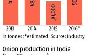 Falling onion prices cheer dehydration industry Falling onion prices cheer dehydration industry