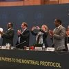 Delegates applaud the adoption of the Kigali Amendment to the Montreal Protocol