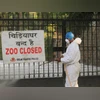 A Zoo staff member covers his face while spraying chemicals to prevent the Bird Flu (H5N1 avian influenza virus) at Delhi Zoo.