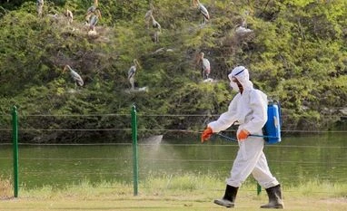 Rajasthan avian flu: Chickens not yet inflicted with disease, says AHD secy A Zoo staff member covers his face while spraying chemicals near a rosy Pelican enclosure to prevent the Bird Flu (H5N1 avian influenza virus) at Delhi Zoo.