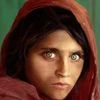 Sharbat Gula