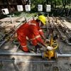 Energy firms face Rs 730 cr service tax on royalty payments