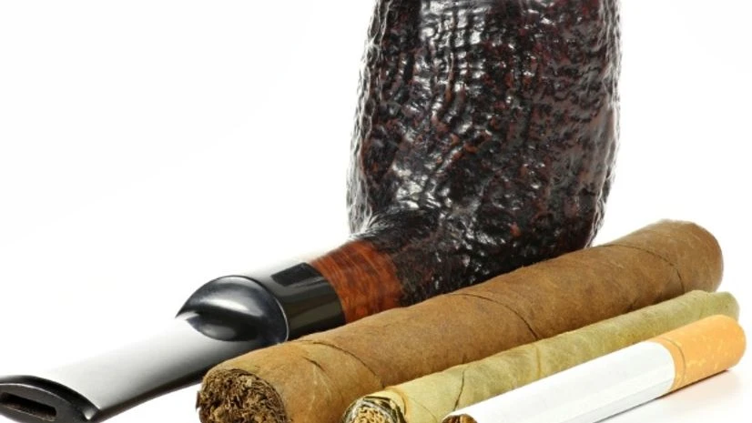 Photo: Shutterstock Photo: Shutterstock