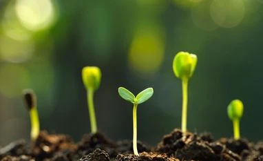 Farm allocation set to go up Photo: Shutterstock