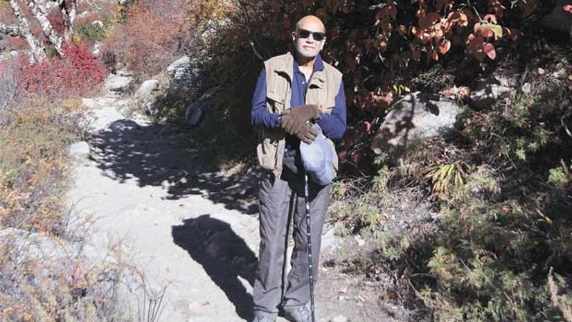 Saran against the backdrop of the rich autumn foliage Saran against the backdrop of the rich autumn foliage