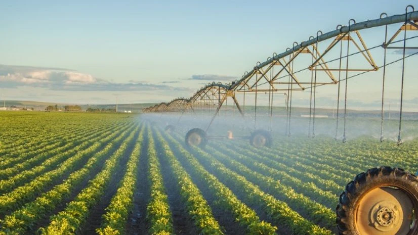 Representative image ( Photo: Shutterstock ) Representative image ( Photo: Shutterstock )