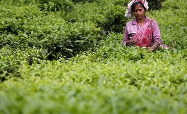 How text messages save lives in Assam; a state with highest maternal deaths Photo: Reuters