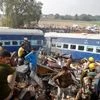 Rescue workers search for survivors at the site of a train derailment in Pukhrayan, south of Kanpur