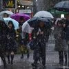Tokyo gets November snow for first time in 54 years