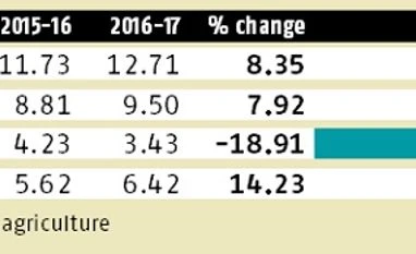 Early rabi harvest worry on warmer winter Early rabi harvest worry on warmer winter
