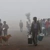 A tea-vendor at India Gate on a foggy day in New Delhi. Photo: PTI
