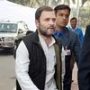 Congress Vice-President Rahul Gandhi. Photo: PTI