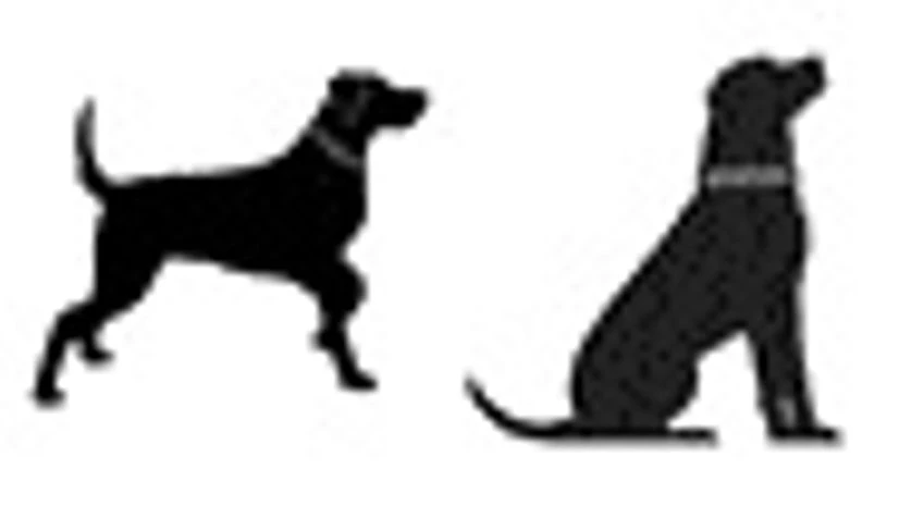 Strategist Quiz - Logo Strategist Quiz