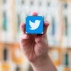 Logo of Twitter. Photo: Shutterstock