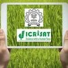 Icrisat