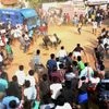 Hard to score brownie points in Jallikattu episode