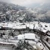 snow, Shimla