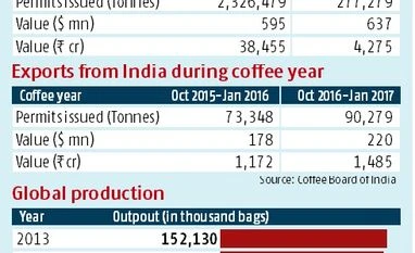 Robusta, coffee Robusta, coffee