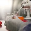 Stem cell research community drops 14-day limit on human embryo research