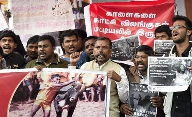 Jallikattu: Strikes, blockades, procession as Modi dashes ordinance hopes Jallikattu