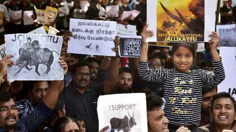 Jallikattu Jallikattu