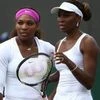 Serena Williams, Venus Williams, Tennis