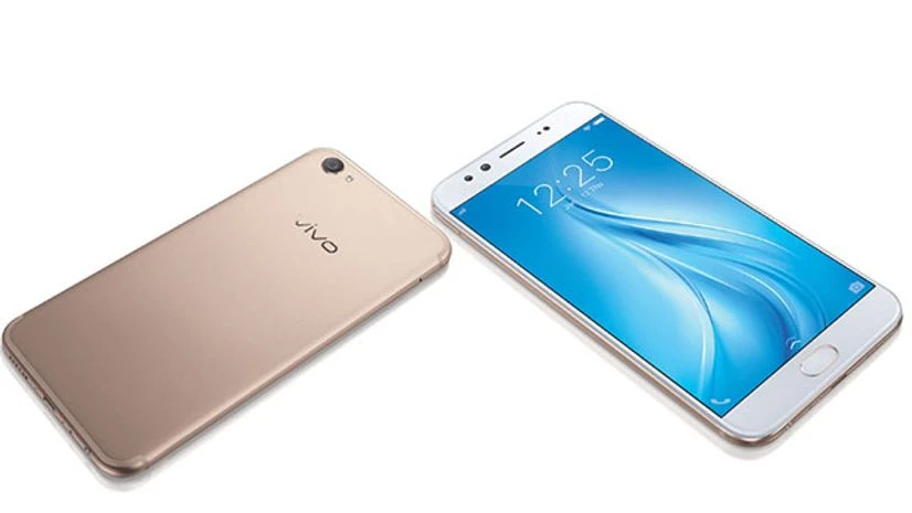 Vivo Vivo