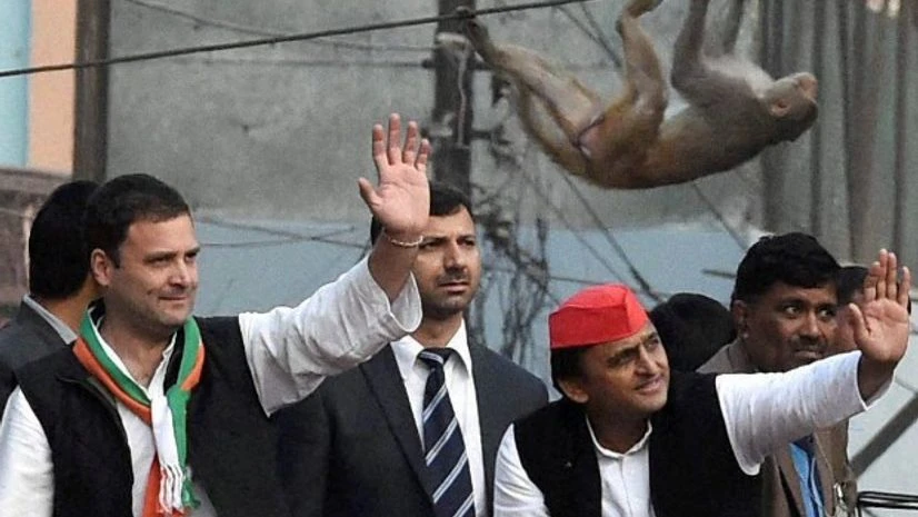 Rahul Gandhi Rahul Gandhi