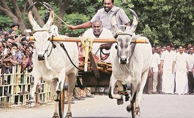 TN CM announces probe into violence during pro-Jallikattu stir Jallikattu, Tamil nadu