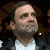 Congress Vice President Rahul Gandhi. Photo: PTI